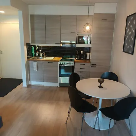 Great One Bedroom 아파트 오울루